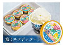 塩ミルクジェラート 【 送料込み 】