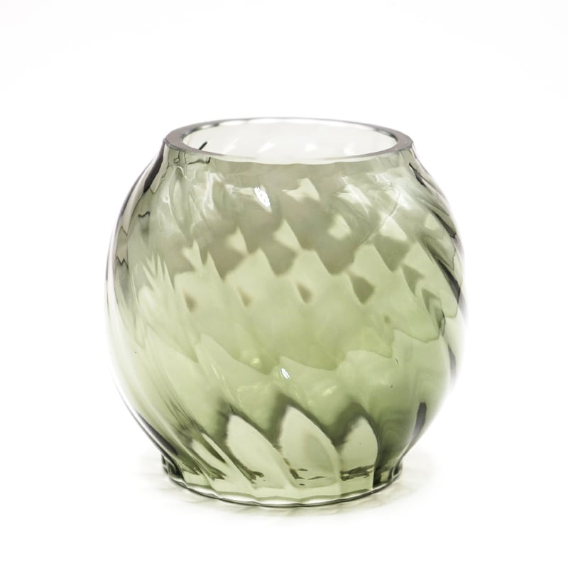 標本 Taiwan Dytiscoidae sp.37mm 標本 Taiwan Dytiscoidae sp.37mm