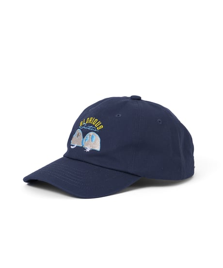 GLORIOUS FUTURE 刺繍CAP（ネイビー）