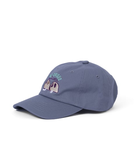 GLORIOUS FUTURE 刺繍CAP（アシッドブルー）