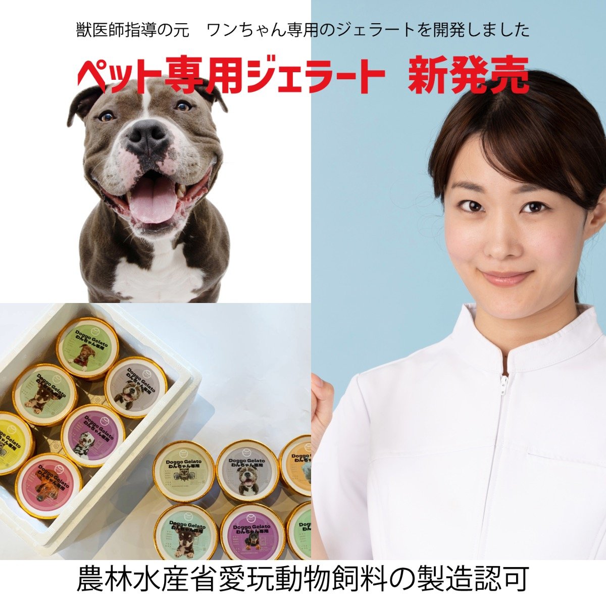 Doggo Gelatoわんちゃん専用 猫ちゃん ジェラート 4種類6個入り 農林