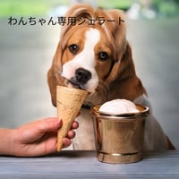 Doggo Gelatoわんちゃん専用 猫ちゃん ジェラート 4種類6個入り 農林水産省愛玩動物飼料製造認可！ドックフェスタで大人気 うちの子に人気 60ml 6個 詰め合わせ 送料無料