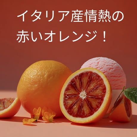 送料無料！当店おすすめジェラート12個詰め合わせ