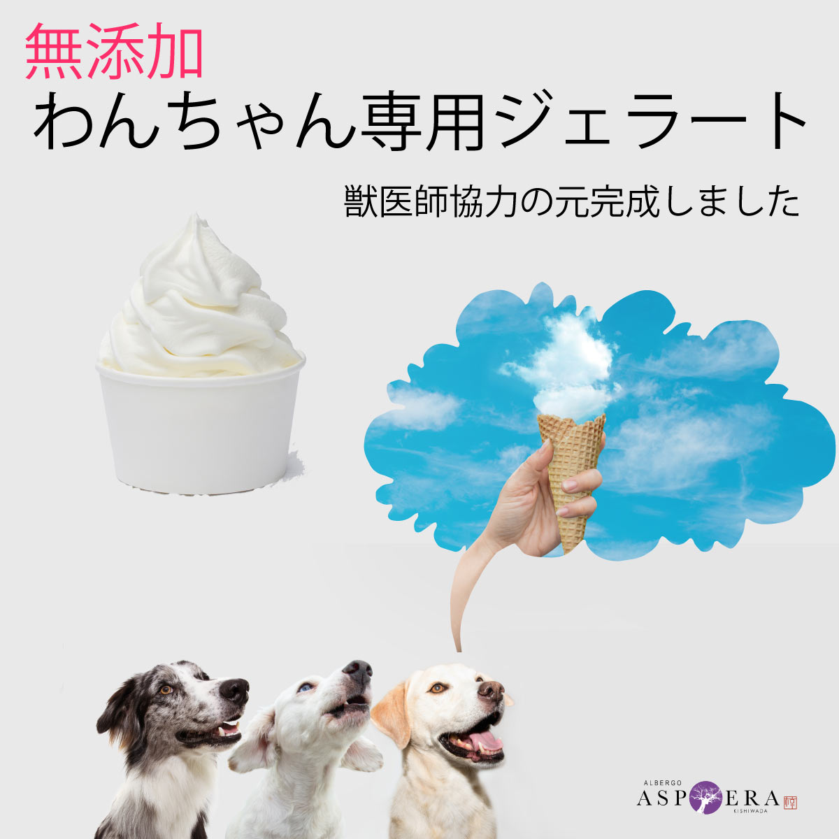 いぬい Doggo Gelatoわんちゃん専用 猫ちゃん ジェラート 4種類6個入り 農林