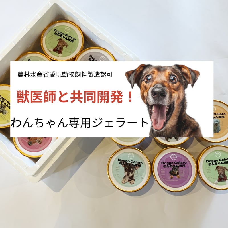 Doggo Gelatoわんちゃん専用 猫ちゃん ジェラート 4種類6個入り 農林