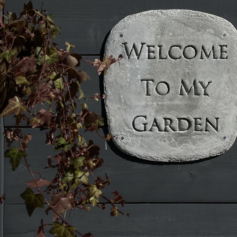 免疫力　ウェルカムウコンボード 免疫力 ウェルカムウコンボード Welcome ボード | mi;ko