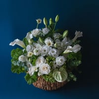 arrangement L