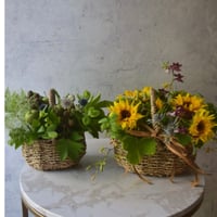 Father’s Day arrangement 各種