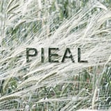 PIEAL
