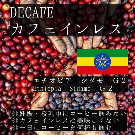 【デカフェ】エチオピア　シダモ　G2　100g