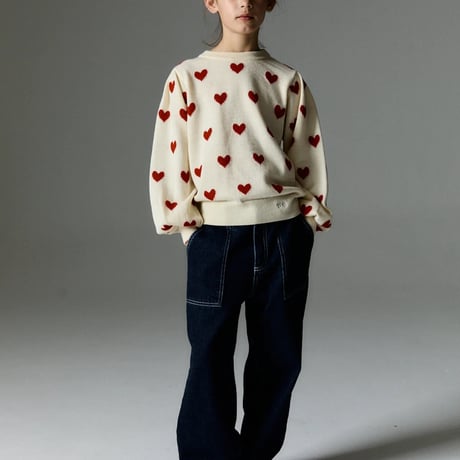 Fuji Jumper/ the new society