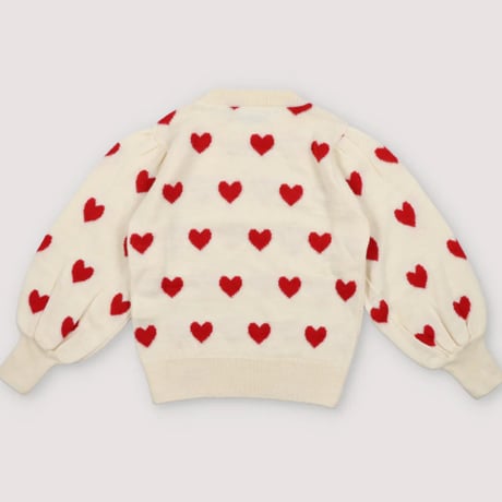 Fuji Jumper/ the new society
