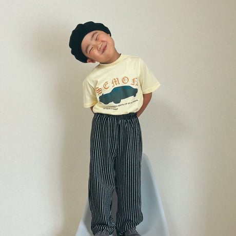 pile stripe pants / House of Lili