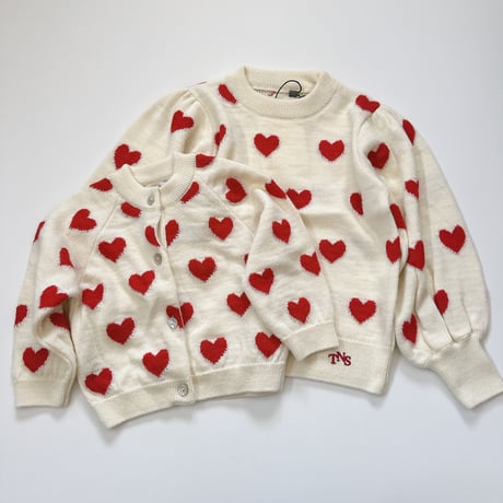 Fuji Jumper/ the new society