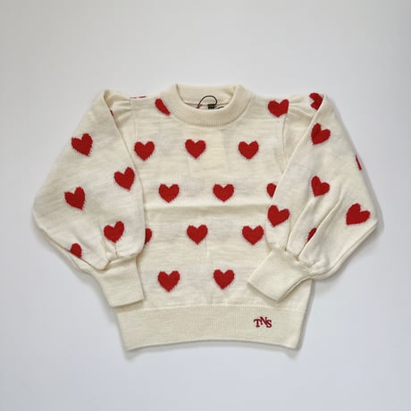 Fuji Jumper/ the new society