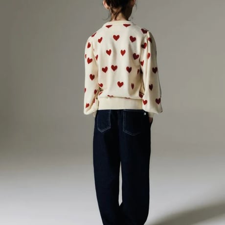 Fuji Jumper/ the new society