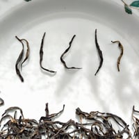 シングルオリジン 紅茶「TGOP」-Tippy Golden Orange Pekoe-