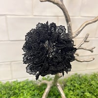 ブラックレースシュシュ