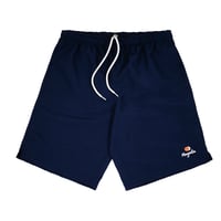 Magenta VISION SWIM SHORTS