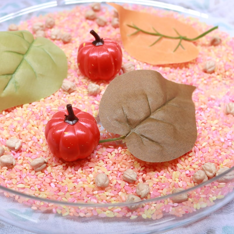 ひよこ豆 | SENSORY SHOP ひよこ豆 | SENSORY SHOP