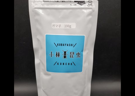 昆虫ねるねる『ガマ子』＋給餌ロッド(木製)　セット販売　★送料無料
