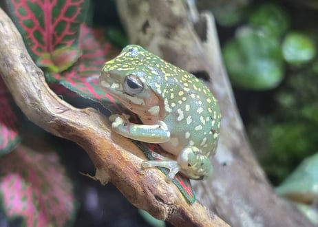 CATEGORY 生体 | ワガママなガマママ