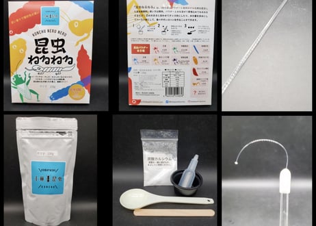 昆虫ねるねる『ガマ子』＋給餌ロッド(ガラス製)　セット販売　在庫限りです！　★送料無料