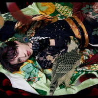 ヴィジュアルブック「花鳥風月」三冊＋特典DVD＋鳥【佐伯亮】セット