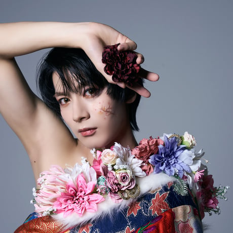 ヴィジュアルブック「花鳥風月」三冊＋特典DVD＋花【佐藤たかみち】セット