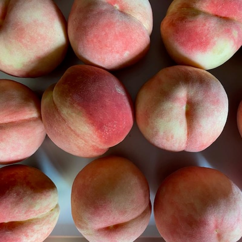 ARUG 桃のコンポート ぼんぼん 梅酒ぼんぼん セット Bonjour Kuchibue 夏のバカンスセット | BONJOUR KUCHIBUE