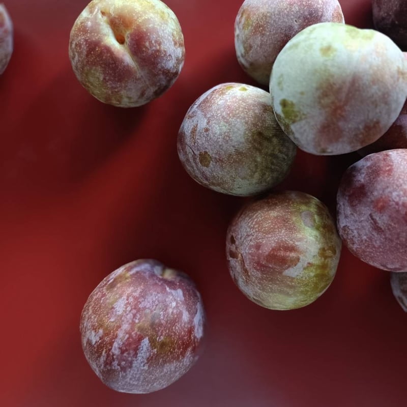 食べかけのポテポッチュシュ ブランド初！期間限定・ザクッと厚切りポテトで新登場】知る人ぞ