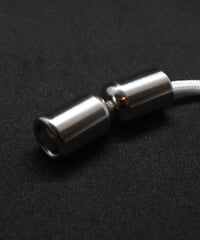 Delta Begleri