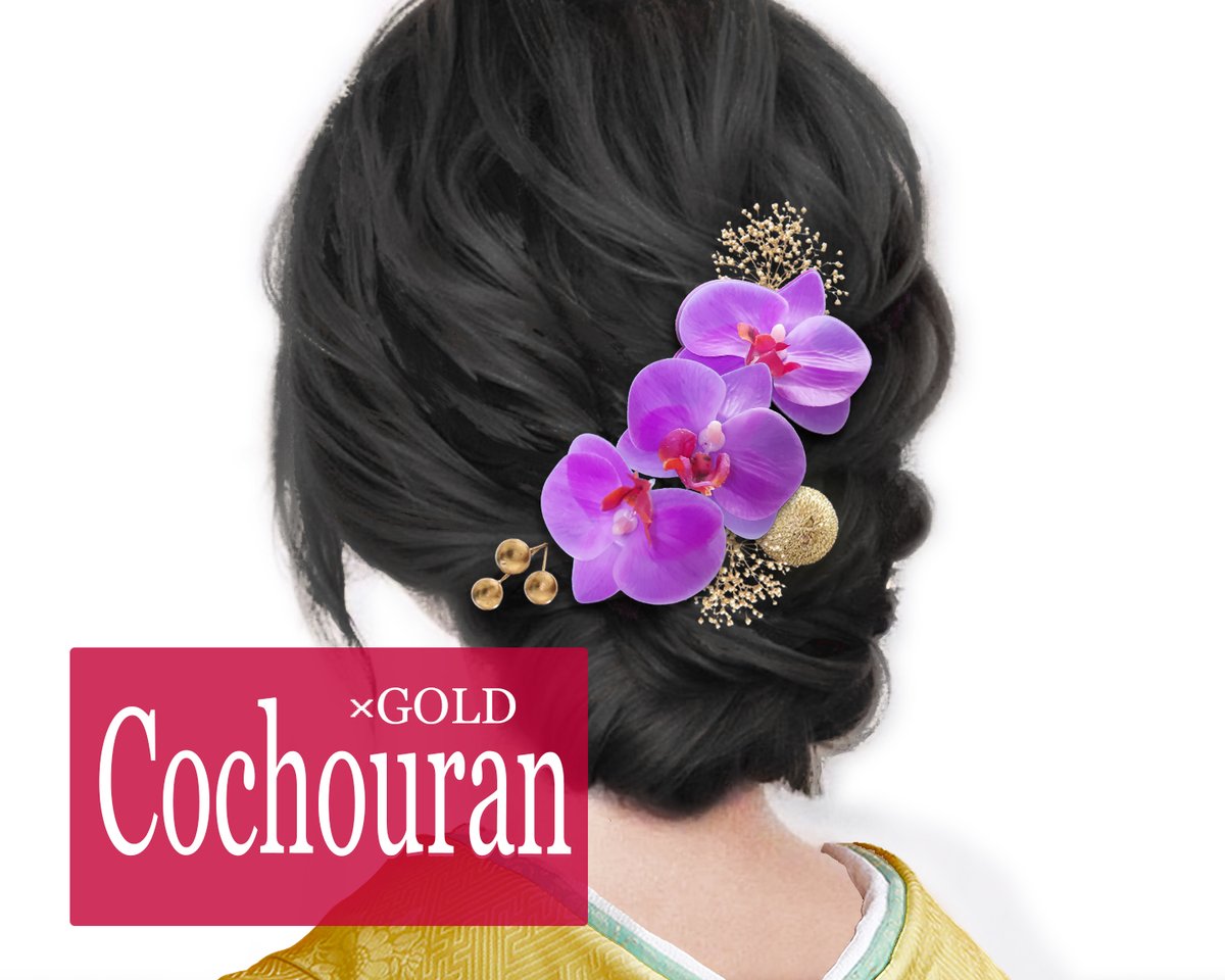 胡蝶蘭 紫 入学式 卒業式 髪飾り 成人式 ウェディング かすみ草