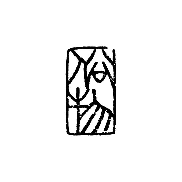 zokubutsu220920