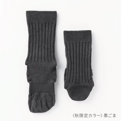 【箱折り畳んで発送】ととのえるベーシック秋の限定色