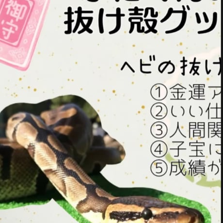ゆか様