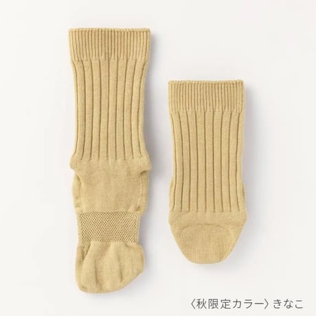 【箱折り畳んで発送】ととのえるベーシック秋の限定色