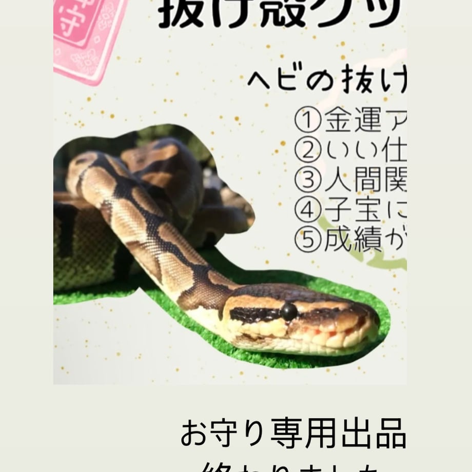 6798a327808e2c0359863cb5