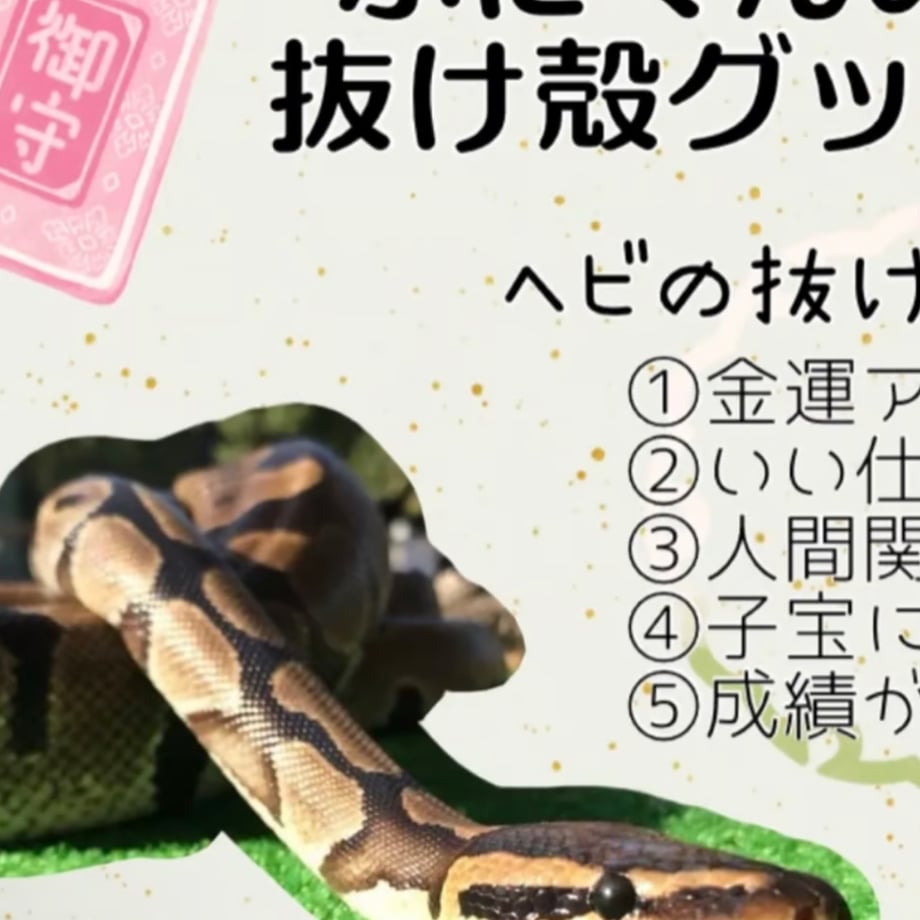 678dfc3320bc0f022b175ac4