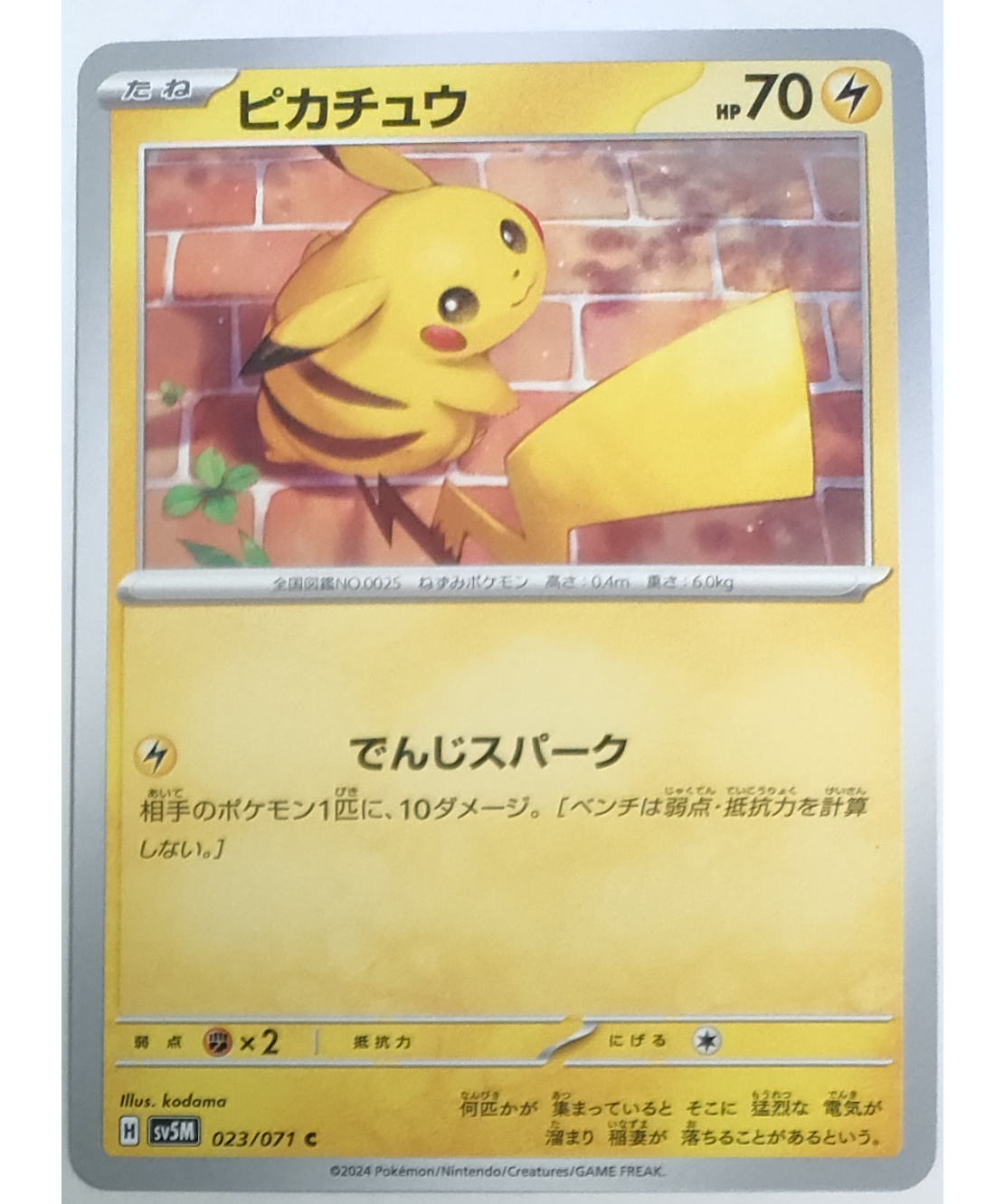 ポケモンカード ピカチュウ 023/071 | ナムのショップ