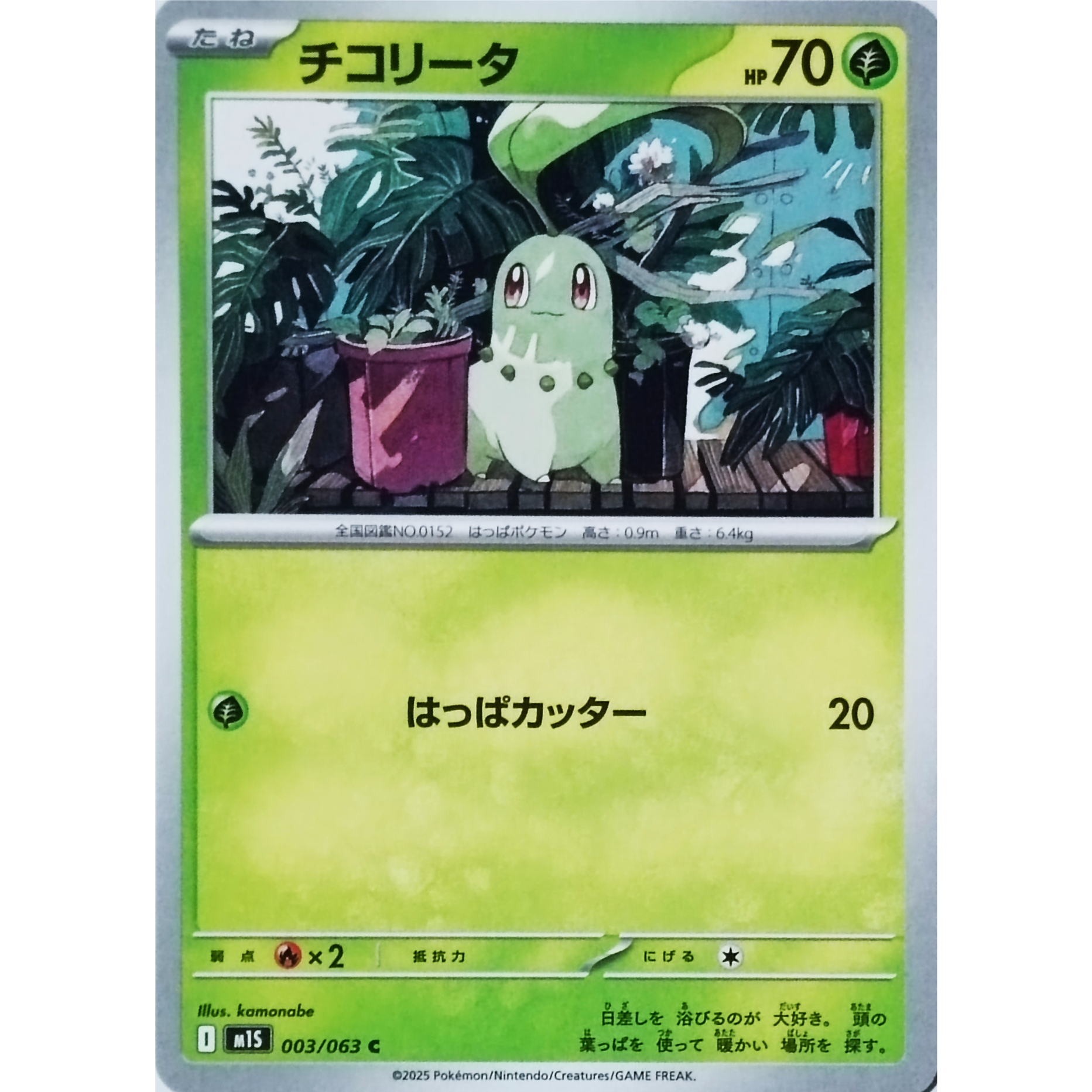 ポケモンカード チコリータ 003/063 | なむのショップ