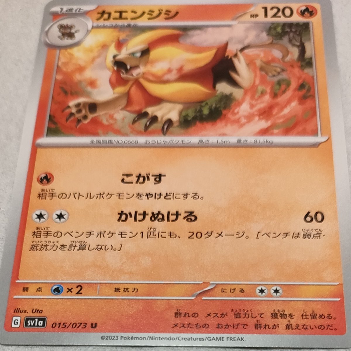 ポケモンカード カエンジシ 015/073 | なむのショップ