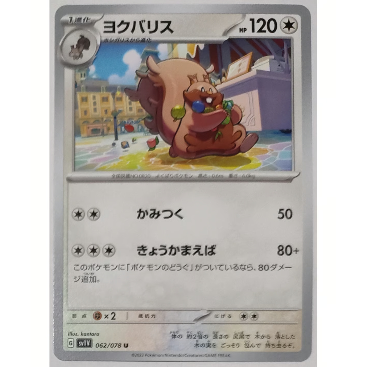 ポケモンカード ヨクバリス 062/078 | ナムのショップ