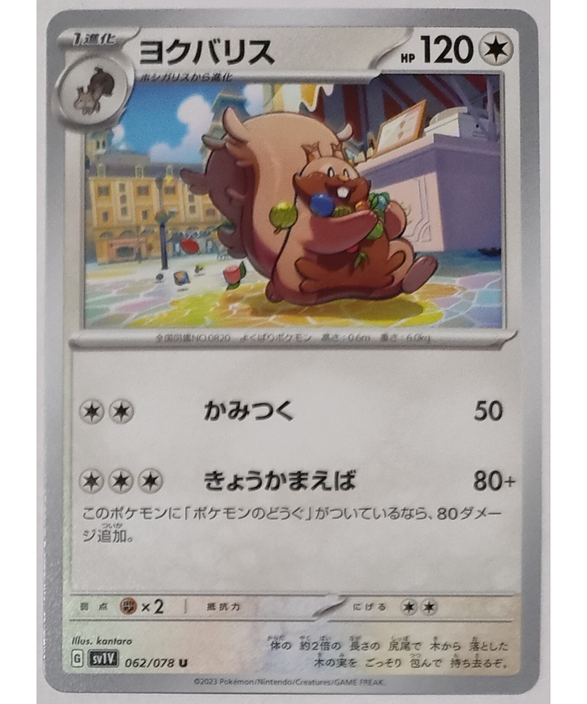 ポケモン - ヨクバリス ヨクバリスex | ポケモンカードゲーム公式ホームページ