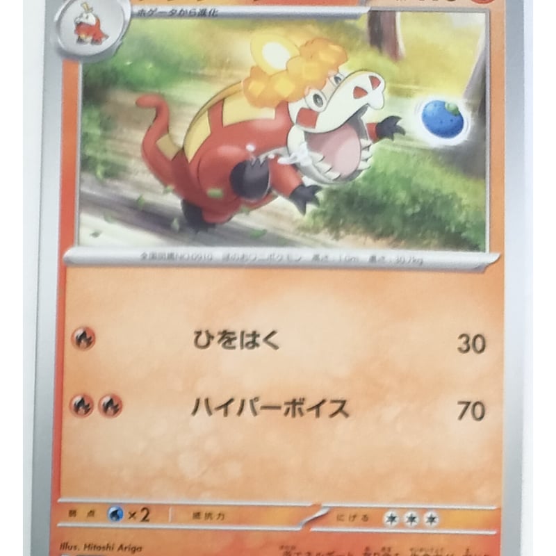 ポケモンカード アチゲータ 031/190 | なむのショップ