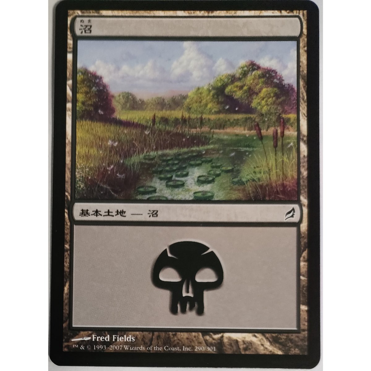MTG 基本土地　平地　沼　Jung Park サインド　15枚 MTG 基本土地 沼 | なむのショップ