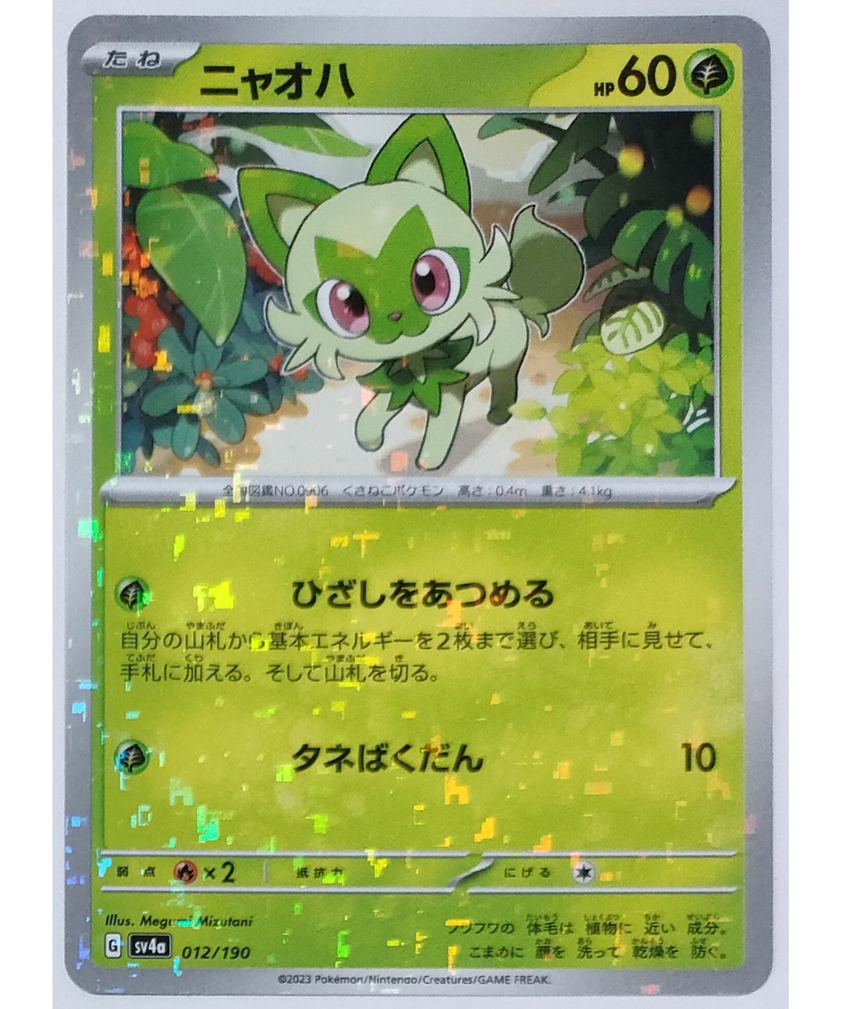 ポケモンカード ニャオハ キラ 012/190 | ナムのショップ