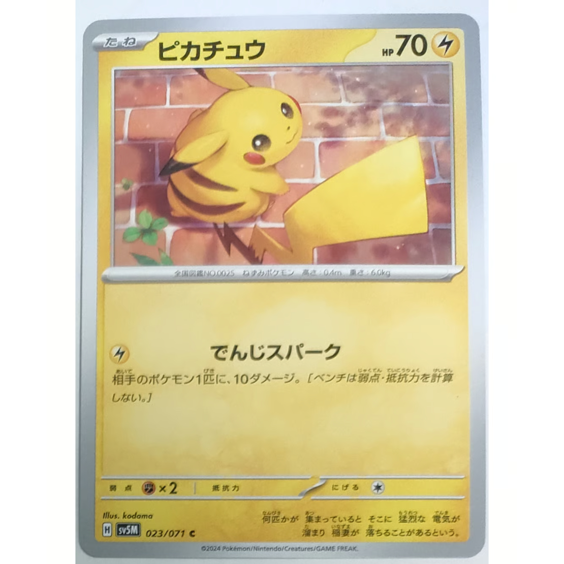 ポケモンカード ピカチュウ 023/071 | ナムのショップ