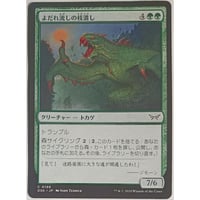 MTG 基本土地 山 | なむのショップ