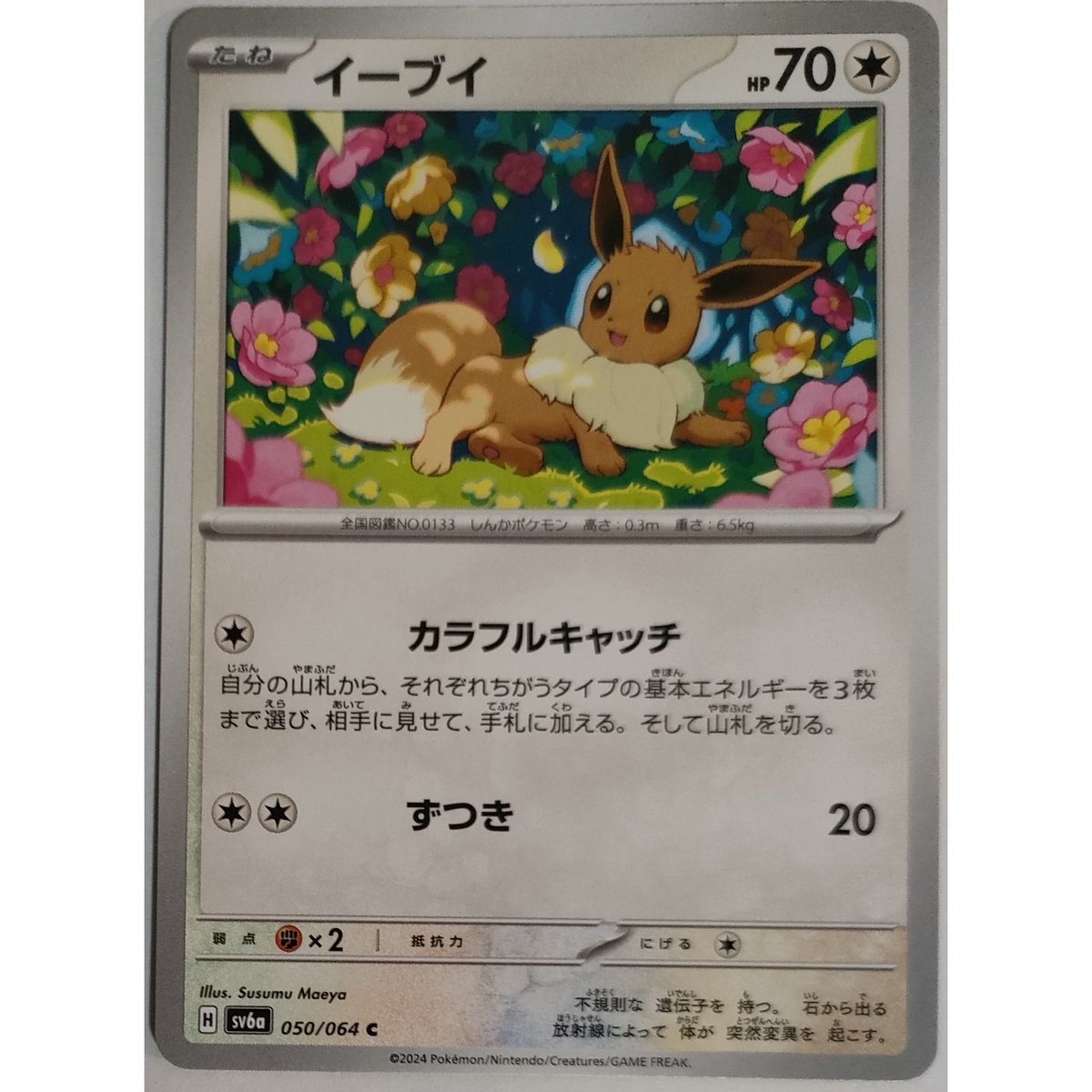 ポケモンカード イーブイ 050/064 | ナムのショップ